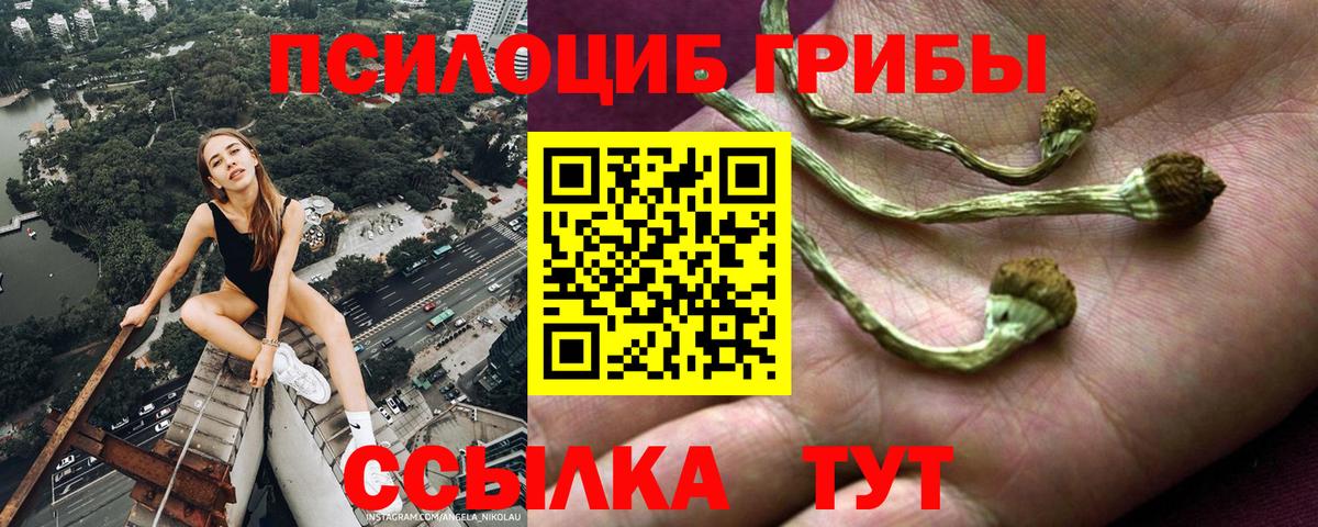 цены наркотик  Вход с VPN  Азнакаево  Псилоцибиновые грибы Psilocybe  Псилоцибиновые грибы ЛСД 