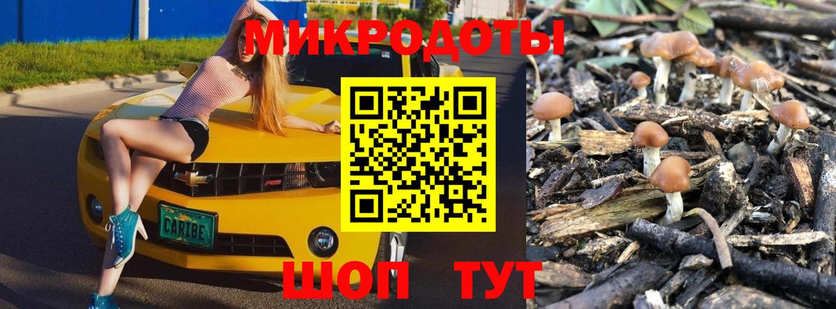 Галлюциногенные грибы мухоморы Азнакаево